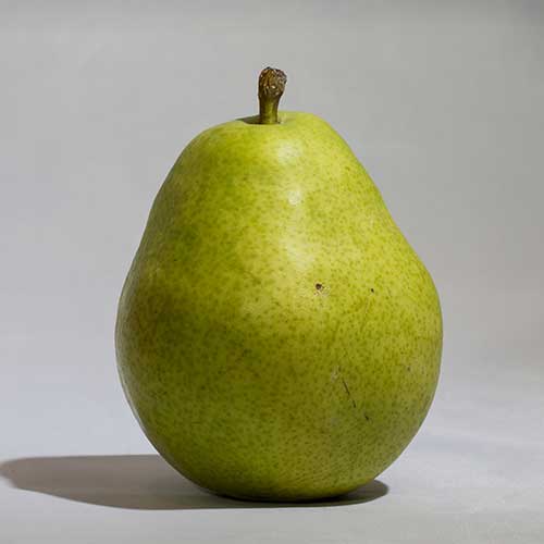 Pear (Marasebu) - Agriculture Commodity